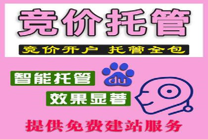 行业内的SEM运营推广成功故事分享